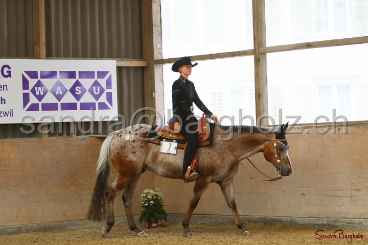 32-ApHC OWP_003.jpg